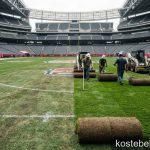 Natural Grass vs. Turf: The Post-World Cup Push for NFL Field Changes